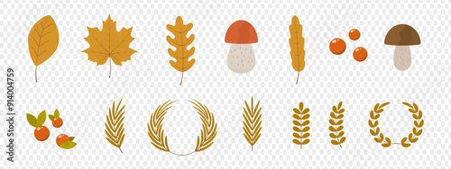 Bright autumn yellow leaf. Rowan berries. Autumn season. Trees are shed foliage. Autumn mushrooms red and brown. 
