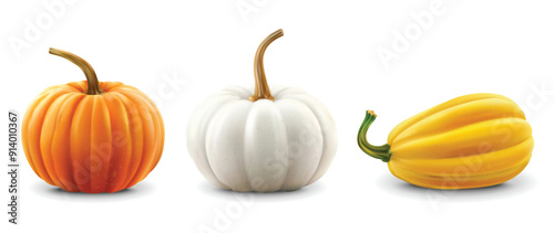 Realistic pumpkins set isolated background, vector realistic, autumn illustration, hello autumn vector	