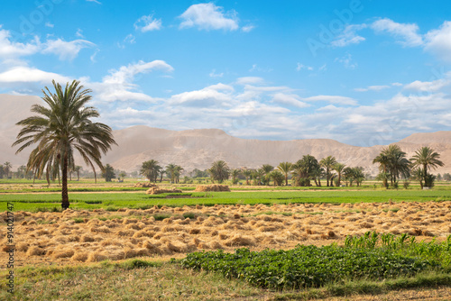 Beautiful view of village landscape in Luxor, Egypt