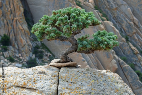 A bonsai in Formal Upright style, with a perfectly straight trunk  photo