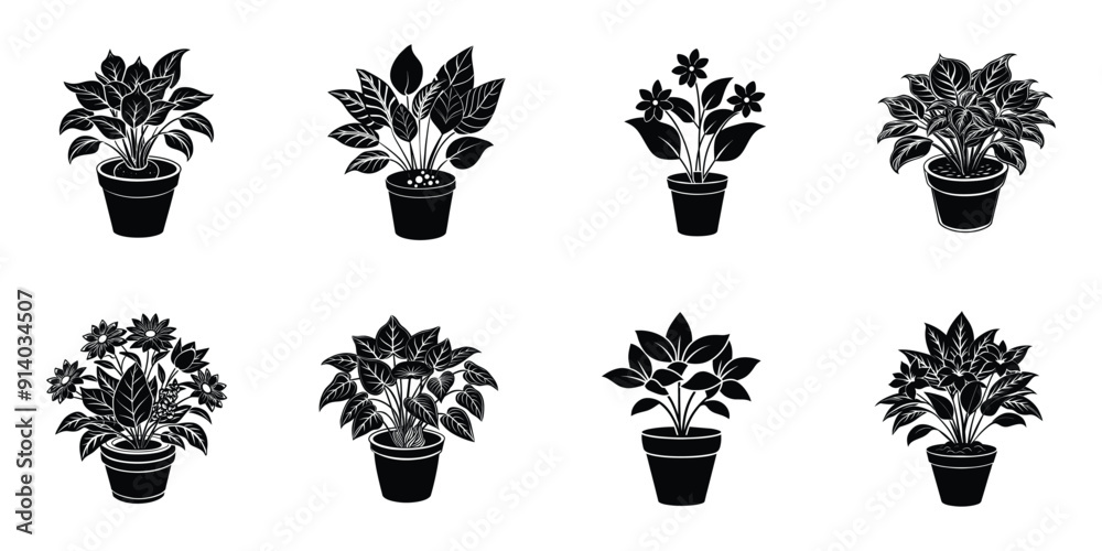 Versatile Indoor Plant Flower Graphics: Ideal for Print and Digital Media Versatile Indoor Plant Flower Graphics: Ideal for Print and Digital Media