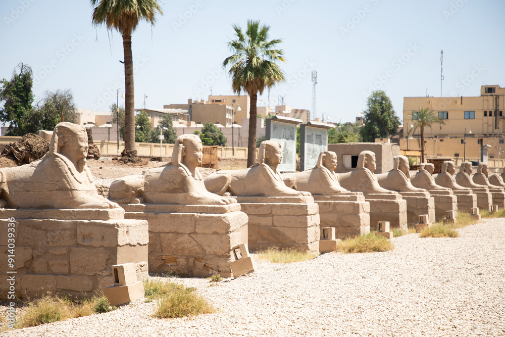Beautiful view of the sphinx sculptures in ancient Luxor Temple in Luxor, Egypt