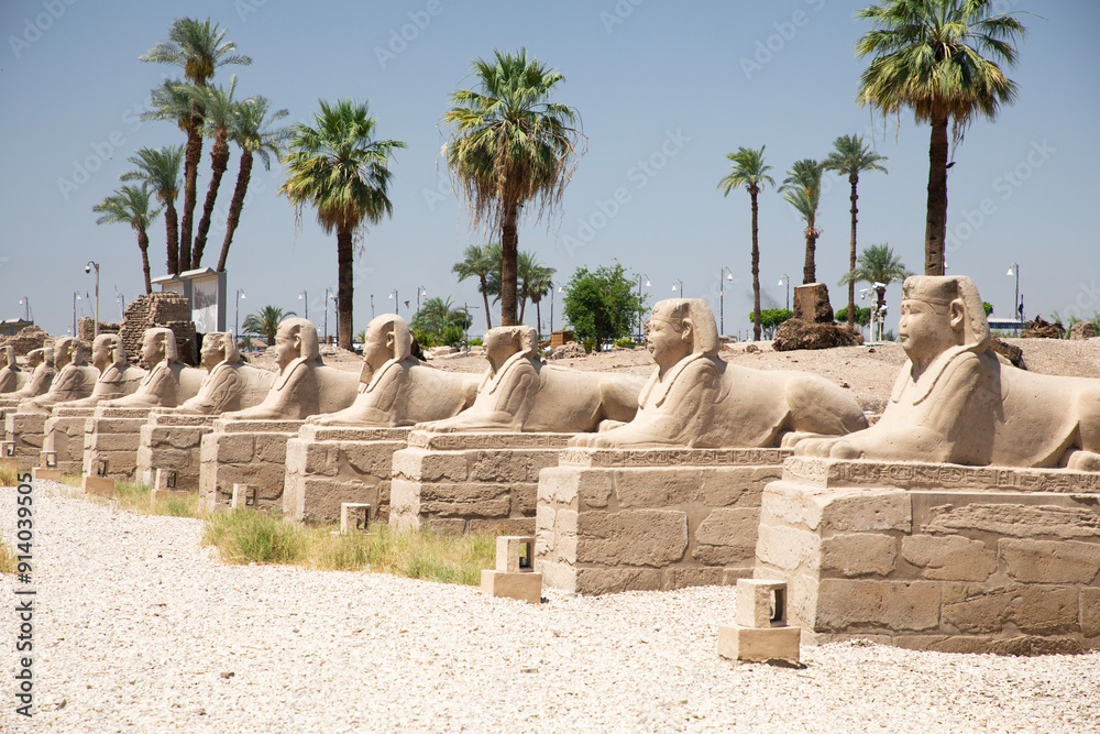 Beautiful view of the sphinx sculptures in ancient Luxor Temple in Luxor, Egypt