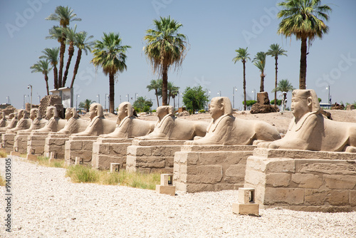 Obraz na płótnie Beautiful view of the sphinx sculptures in ancient Luxor Temple in Luxor, Egypt w salonie