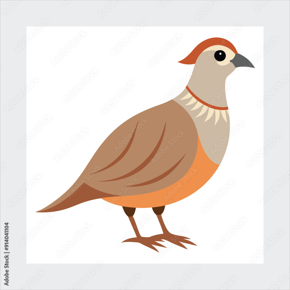 Obraz premium Chukar vector illustration