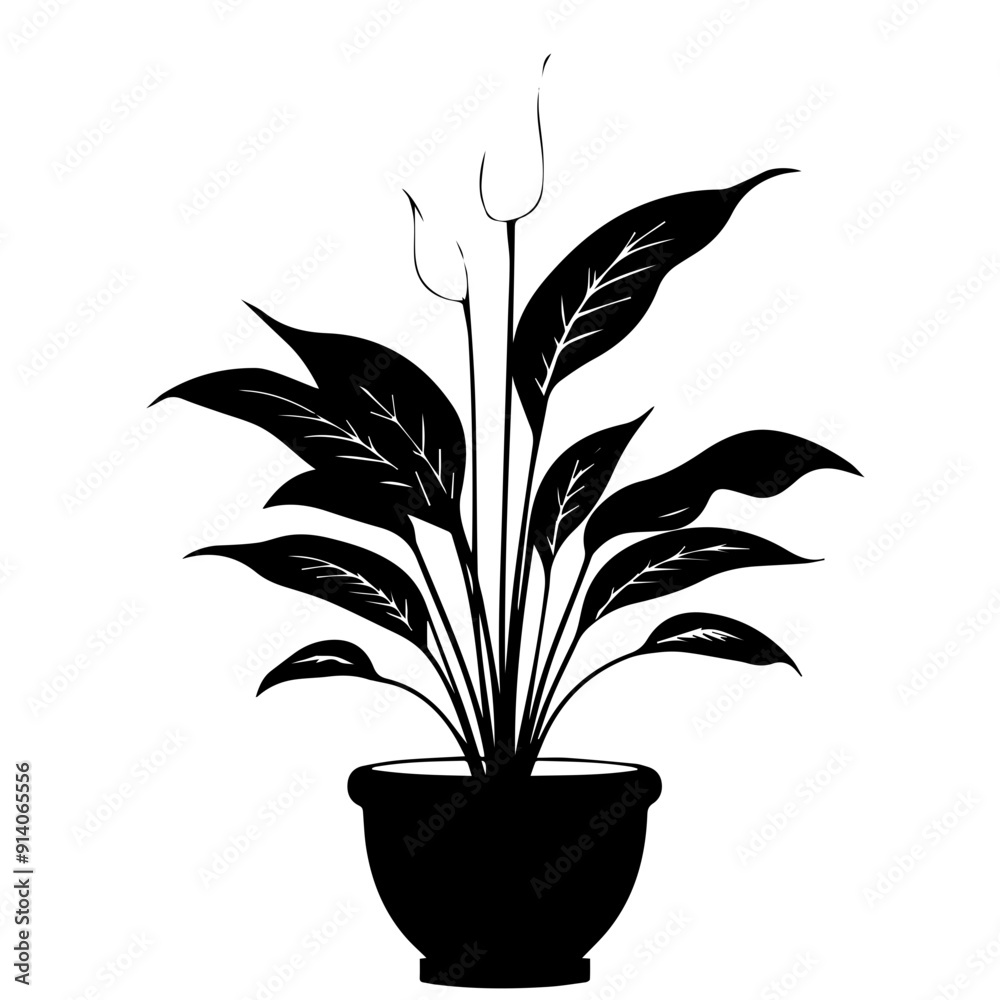 Peace Lily Vector Illustration