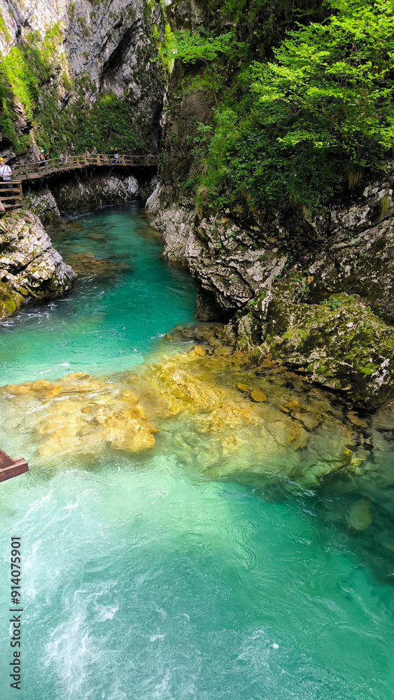 Vintgar Gorge, Slovenia, in bright spring day Vintgar Gorge, Slovenia, in bright spring day