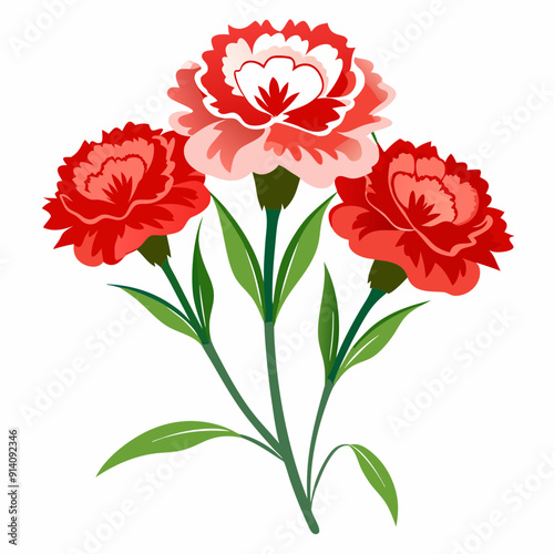 red carnation flowers