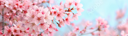 Beautiful close-up of pink cherry blossoms in full bloom with a soft blue sky background, capturing the delicate beauty and serenity of springtime nature.