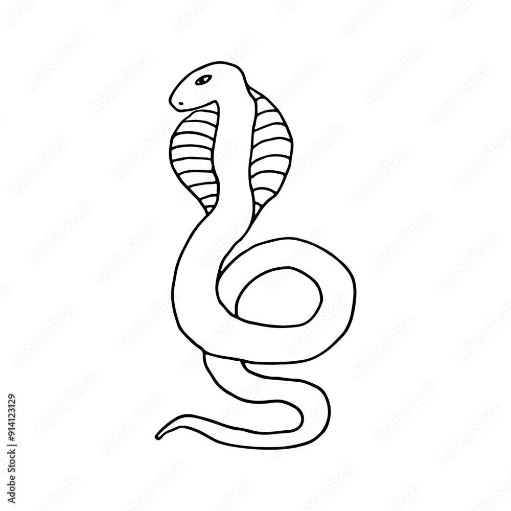 Fototapeta premium Snake, reptiles, scaly. Reptile. Doodle. Vector illustration. Hand drawn. Outline.