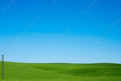 A serene and expansive green grass field stretches under a bright blue sky offering a peaceful natural backdrop.