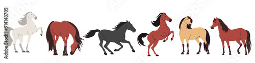 Set of flat vector illustrations on white background. Horses of different colors and breeds . Vector illustration