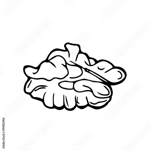 Peeled walnut line icon with editable stroke. Outline nut kernel pictogram in a graphic style. For web design and mobile app. Healthy food concept. Vector illustration isolated on white background