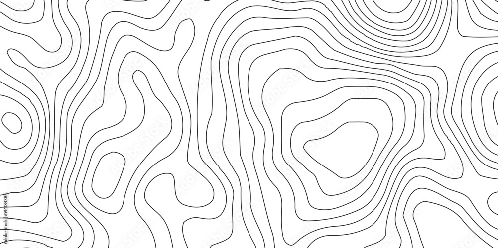 Fototapeta premium White background topography contour map with black curve lines, Modern design with White background with topographic,Vector geographic contour map