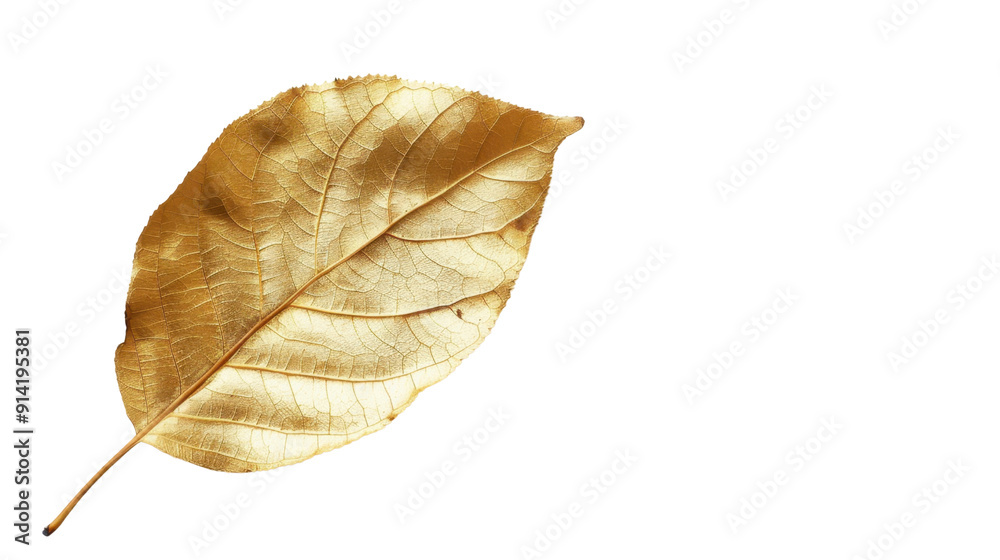 A leaf plant gold on transparent background A leaf plant gold on transparent background
