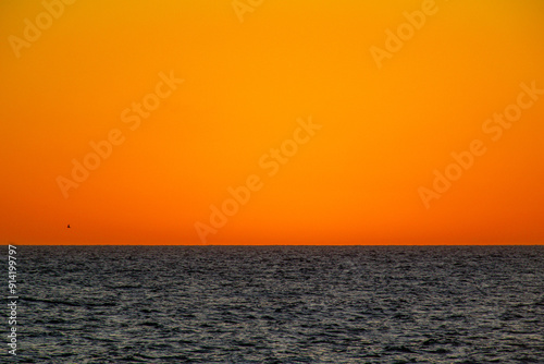 Vibrant Orange Sunset Over the Ocean with Flying Bird
