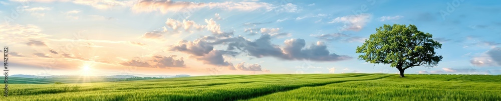 Serene landscape with a lone tree, green fields, and a beautiful sunrise under a blue sky with scattered clouds. Serene landscape with a lone tree, green fields, and a beautiful sunrise under a blue sky with scattered clouds.