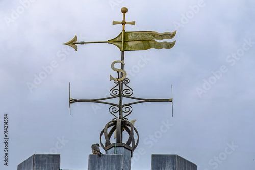 Photos Peregrine Falcon Falco peregrinus perched on the weathervane at Romsey Abbey Ham
