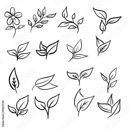 Set hand drawn leaf icons on white background doodle style vector
