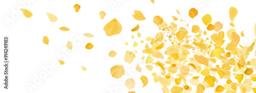 Yellow falling rose or sunflowers petals.Transparent panoramic horizontal background.Amber flower spring template.