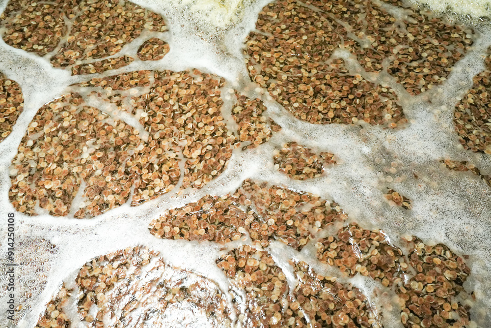 Close-up of biological filter for circulating water treatment system, in a factory farm in North China
