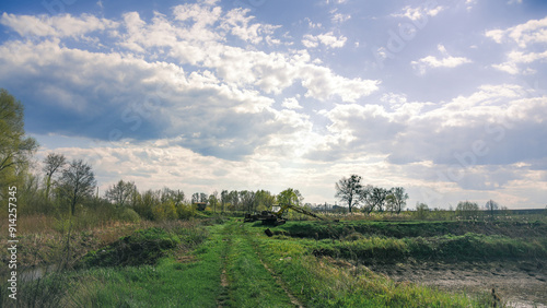 Summer landscape