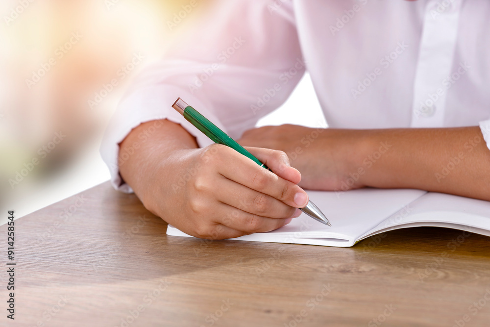 Pupil boy sitting at the school desk and writing in his notebook. Pupil boy sitting at the school desk and writing in his notebook.