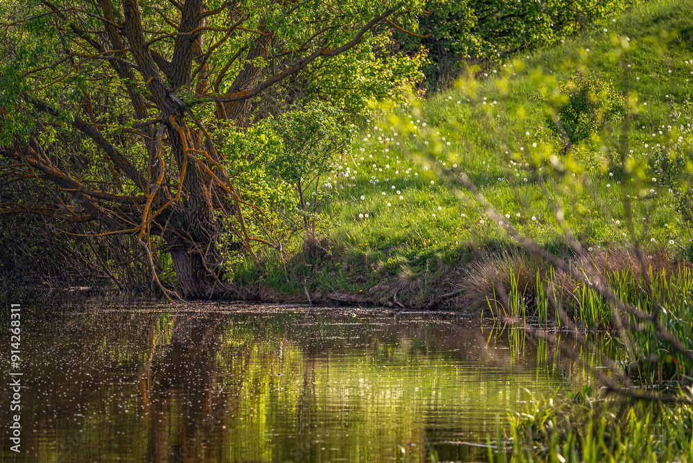 Summer landscape Summer landscape