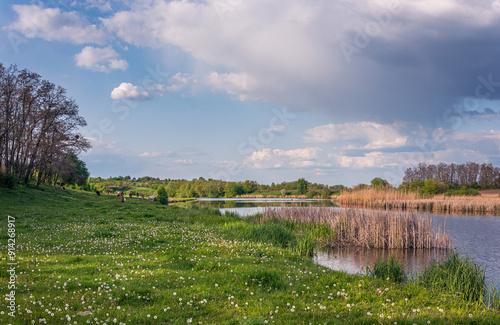 Summer landscape