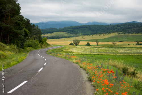 A curving road meanders through a verdant landscape dotted with bright orange flowers under an overcast sky.