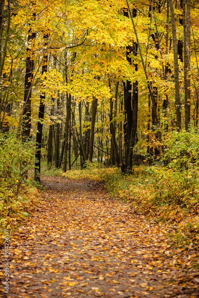 A small hiking trail through the autumn Wisconsin woods in mid-October, within the Pike Lake Unit, Kettle Moraine State Forest, Hartford, Wisconsin A small hiking trail through the autumn Wisconsin woods in mid-October, within the Pike Lake Unit, Kettle Moraine State Forest, Hartford, Wisconsin