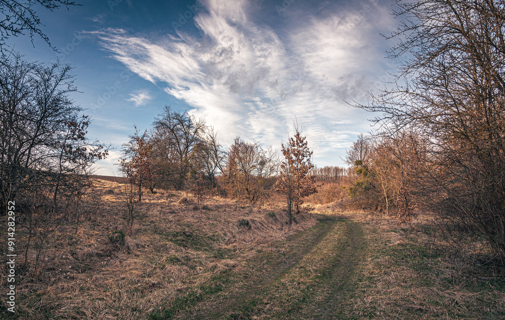 Obraz premium Spring evening landscape