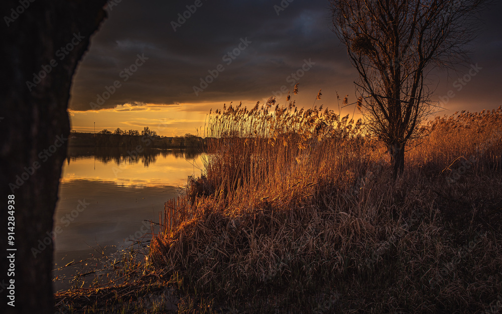 Naklejka premium Spring evening landscape