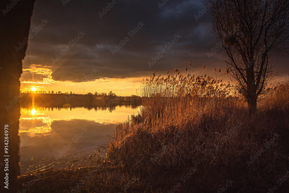 Obraz premium Spring evening landscape