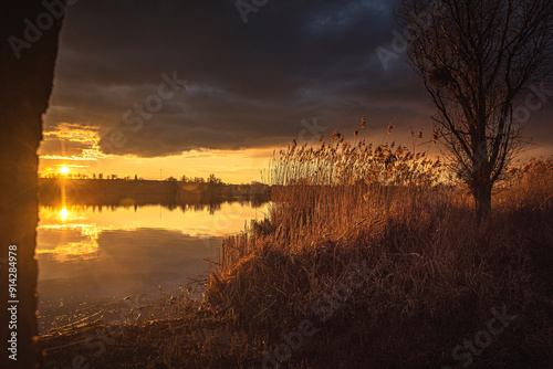 Spring evening landscape