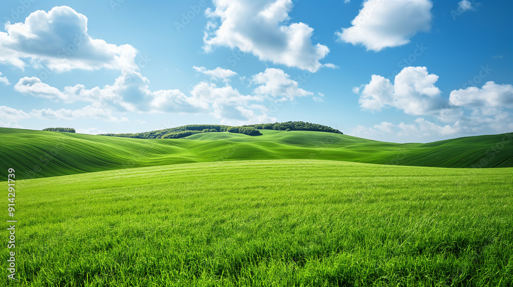 Fototapeta premium Lush Green Rolling Hills under a Bright Blue Sky