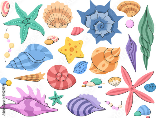 Seashells collection. Multicolored mollusks and starfish on a white background. Vector marine elements on a white background.