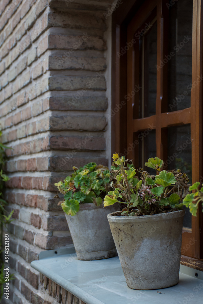 Potted plants on a windowsill with a brick wall background in a cozy outdoor setting Potted plants on a windowsill with a brick wall background in a cozy outdoor setting