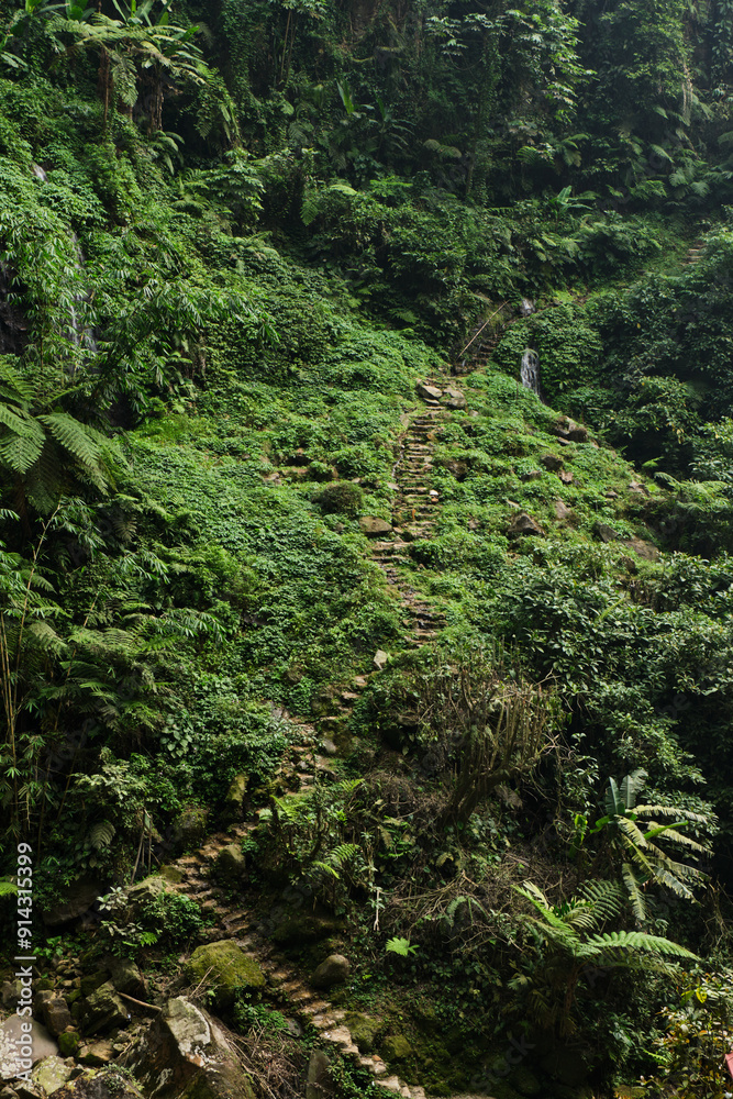 Stairway Hidden in Nature's Embrace Stairway Hidden in Nature's Embrace