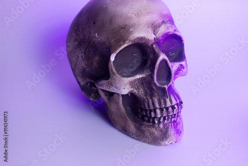 The artificial skull sits ominously, its hollow eyes and gaping mouth creating an eerie presence. This realistic-looking skull would make a chilling Halloween decoration, perfectly capturing the spook photo