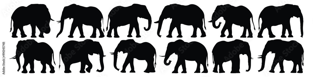 Fototapeta premium Elephant silhouettes set, pack of vector silhouette design, isolated background