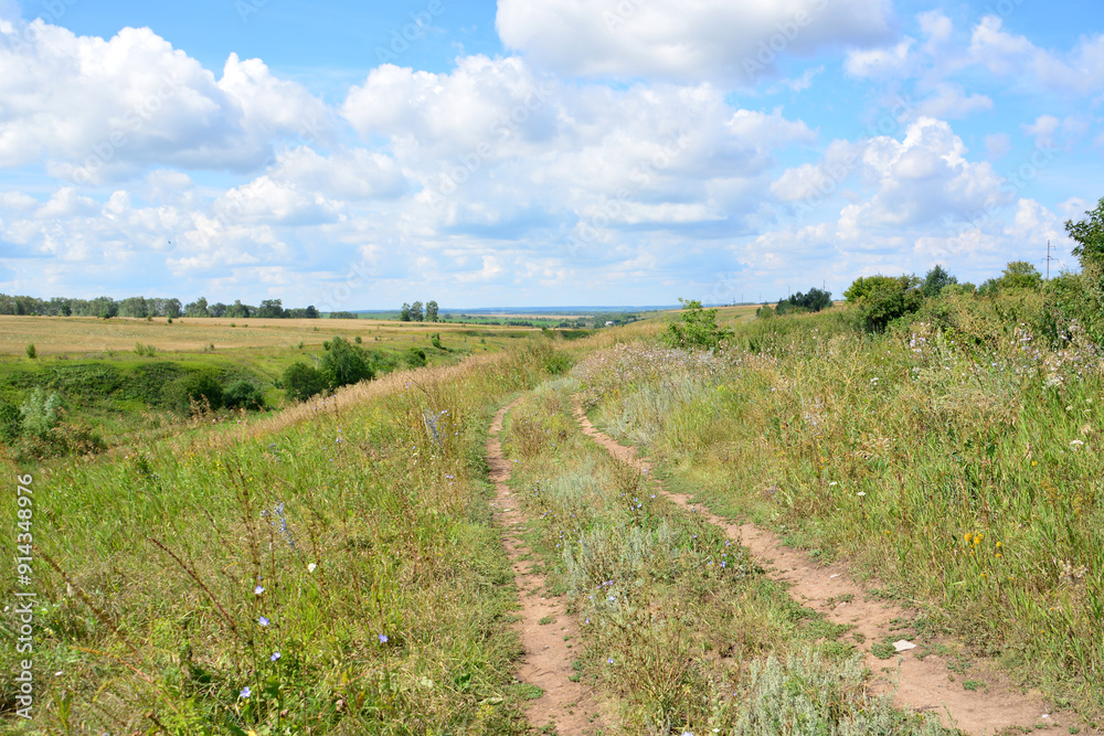a dirt road leads to a field with a blue sky and clouds a dirt road leads to a field with a blue sky and clouds