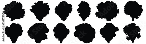 Lettuce silhouette set vector design big pack of vegetable illustration and icon