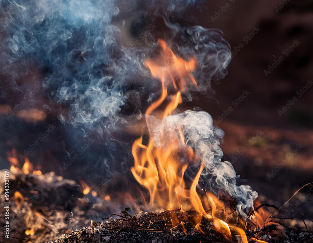 Close-Up of Smoke Rising from a Fire Close-Up of Smoke Rising from a Fire