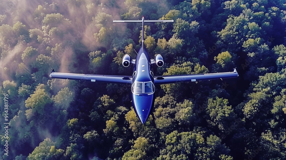 Naklejka premium An Aerial View of a Private Jet Gracefully Flying Over a Lush Green Forest Landscape