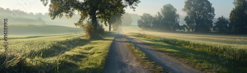 Country Road at Dawn