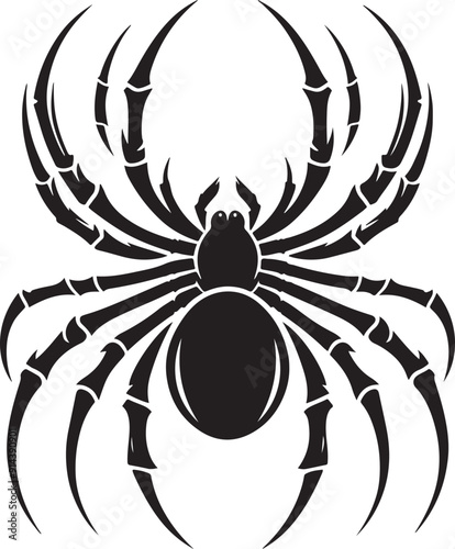 A spider silhouette clings to its web, legs splayed in a delicate yet eerie formation. Its poised, angular body evokes a sense of mystery and precision, a quiet hunter in the shadows of its intricate 