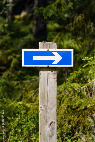 Blue sign with an arrow pointing right in forest photo