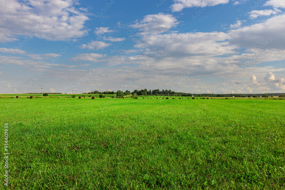 Obraz premium A large field of grass with a few trees in the background