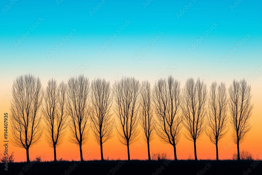 Fototapeta premium Row of bare trees silhouetted against the sunset celebrating the arrival of autumn.